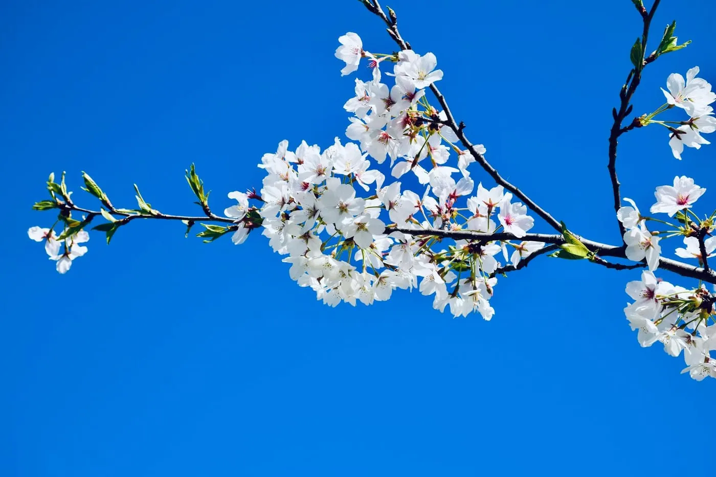 Reflections on a changing profession